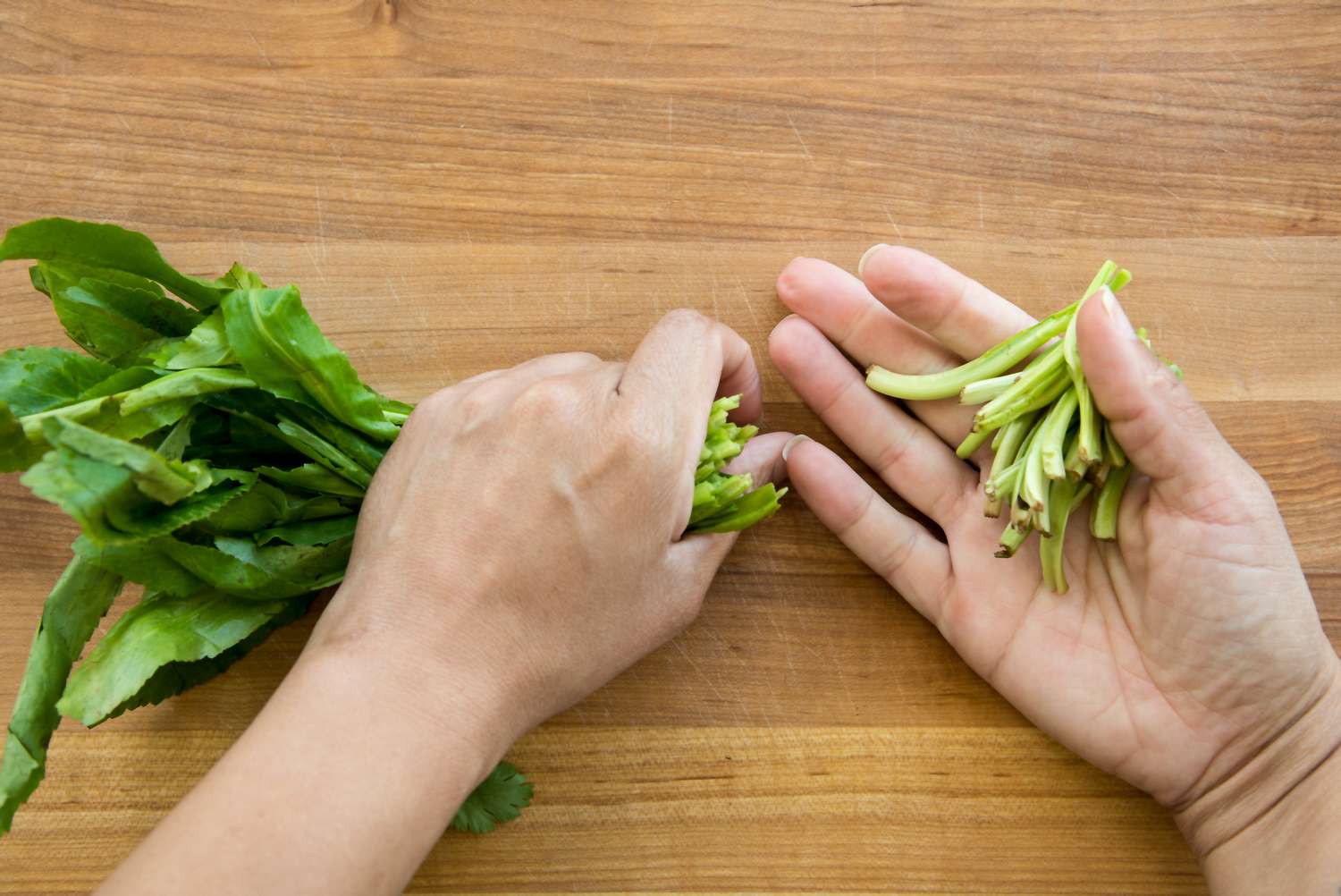 Remove Culantro Stems for Recaito
