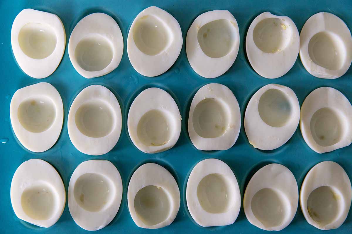 How to Make Deviled Eggs - cooked eggs cut in half with the yolks removed waiting to be filled and sitting on a blue platter.