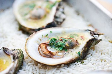 Grilled Oysters