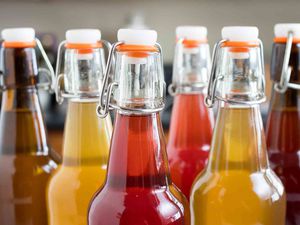 Side view of several bottles filled with kombucha