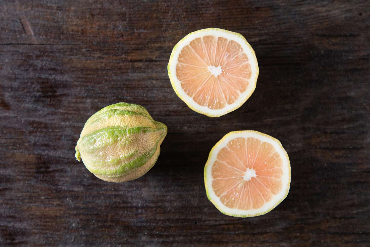 Variegated pink lemon on dark background