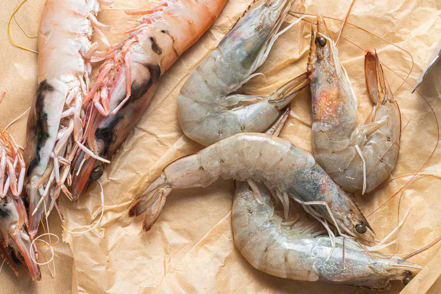 Prawns and Shrimp on Textured Parchment Paper
