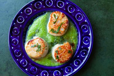 Seared Scallops with Asparagus Sauce
