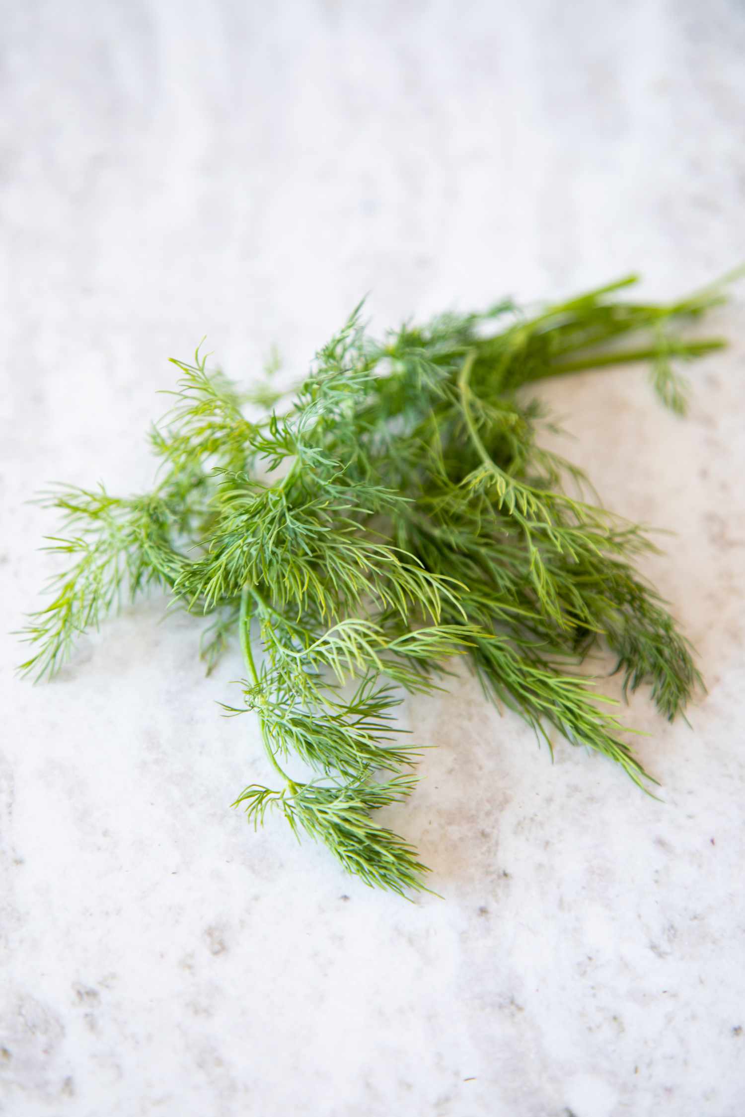 Bunch of Dill on the Counter 