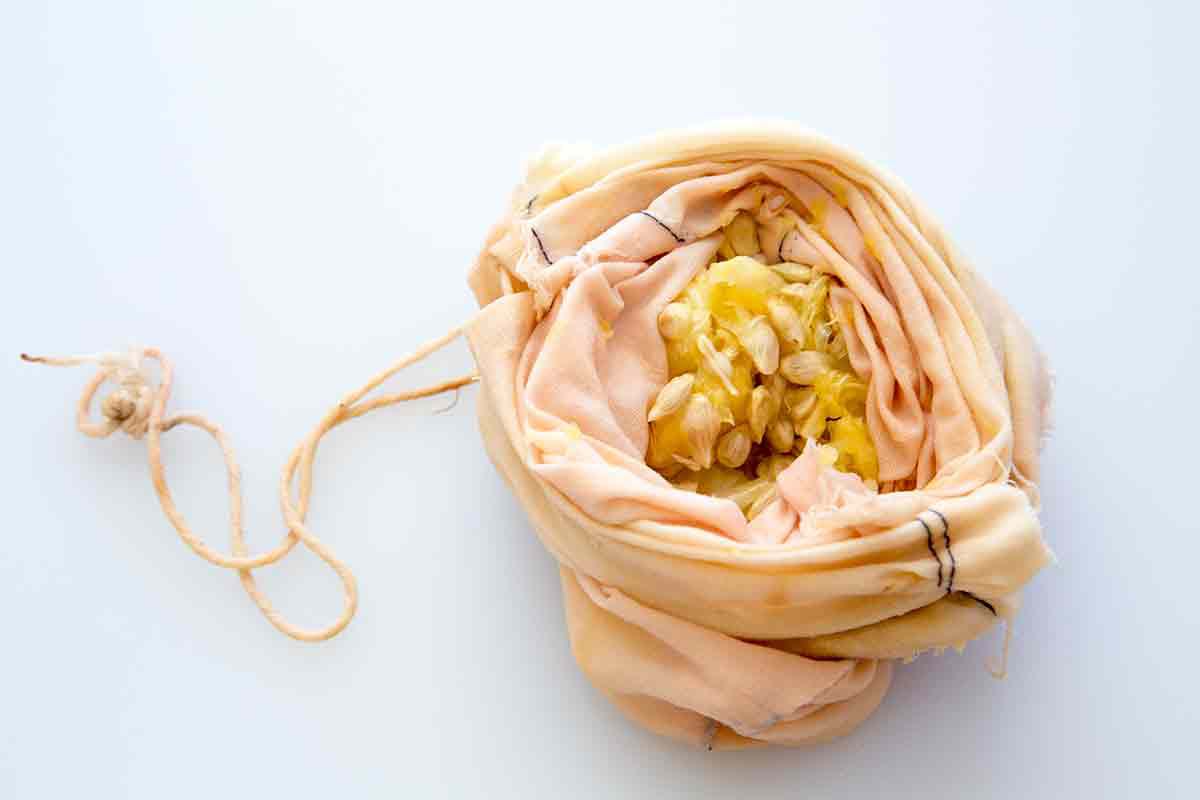 put seeds and some membranes into pectin bag