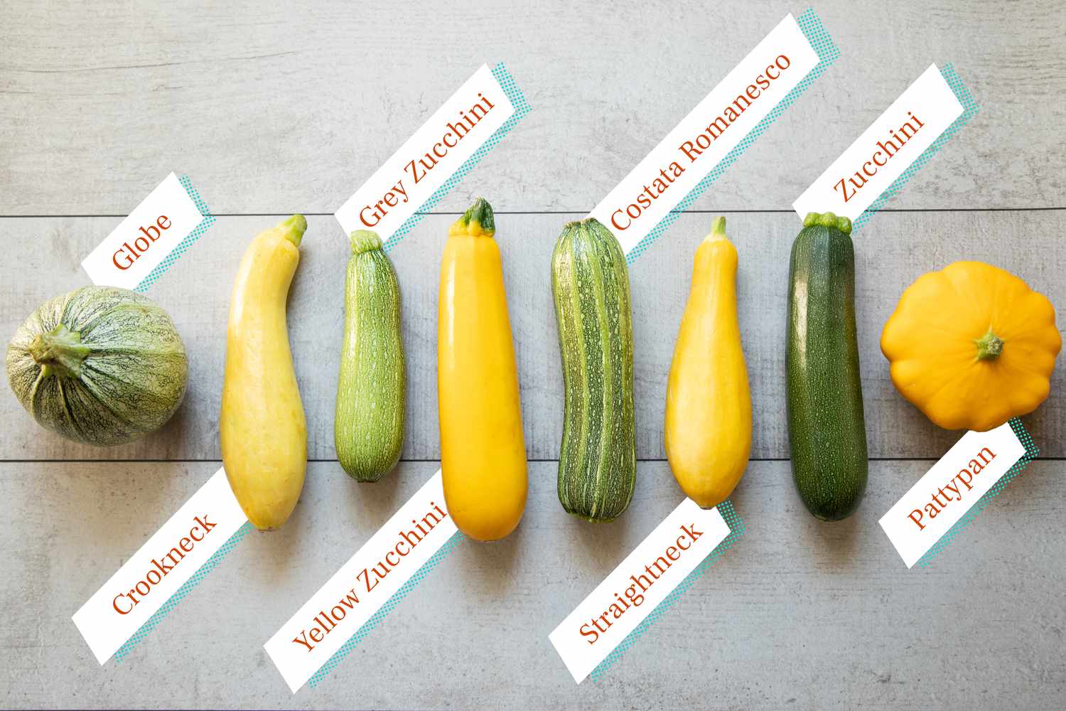 Labeled variety of summer squash