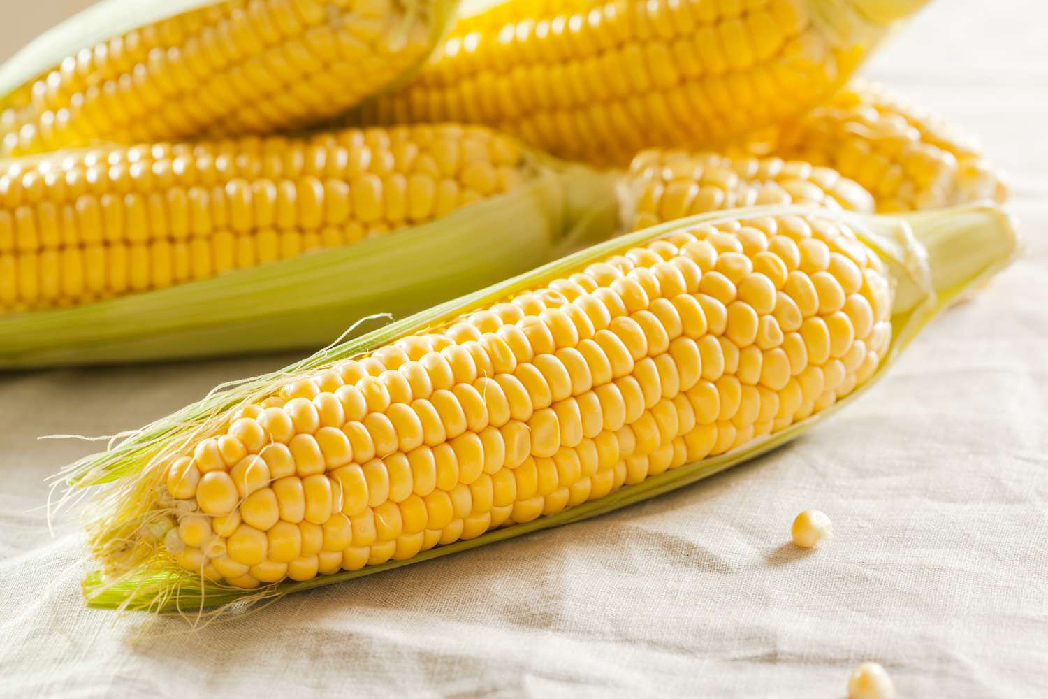 corn (partially shucked) on a table