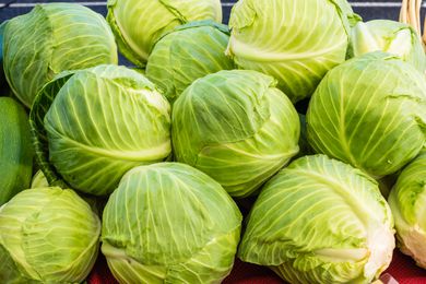 pile of cabbage 