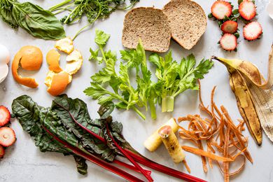 Food Scraps