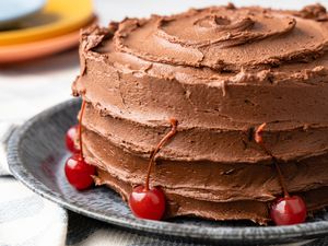 One-Bowl Double-Layer Chocolate Cake on a Plate 
