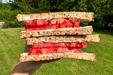 Tomato Sandwich