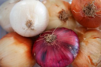 Close up grouping of multi colored onions