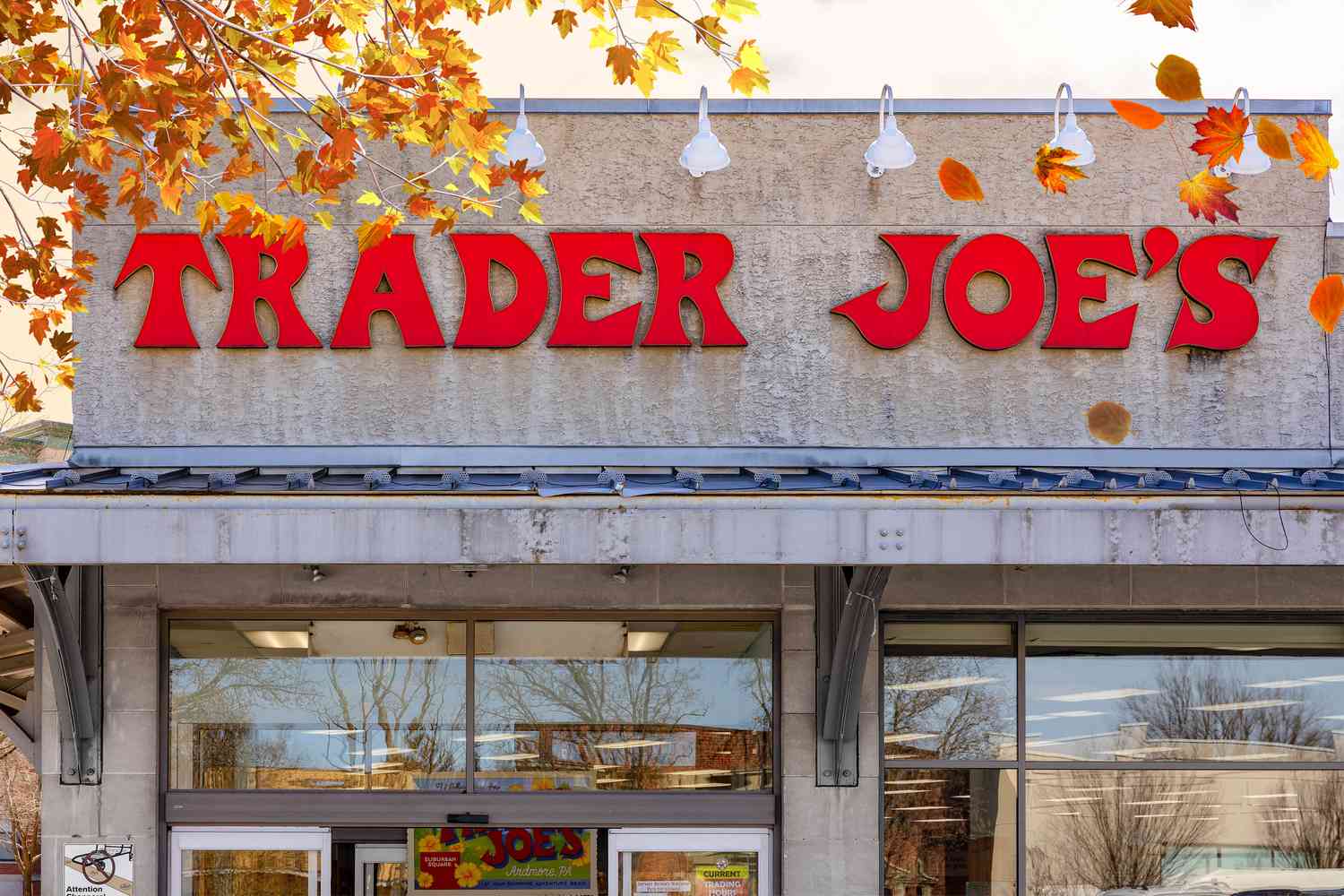 TJ Storefront with illustrations of a maple tree with orange, red, and yellow leaves