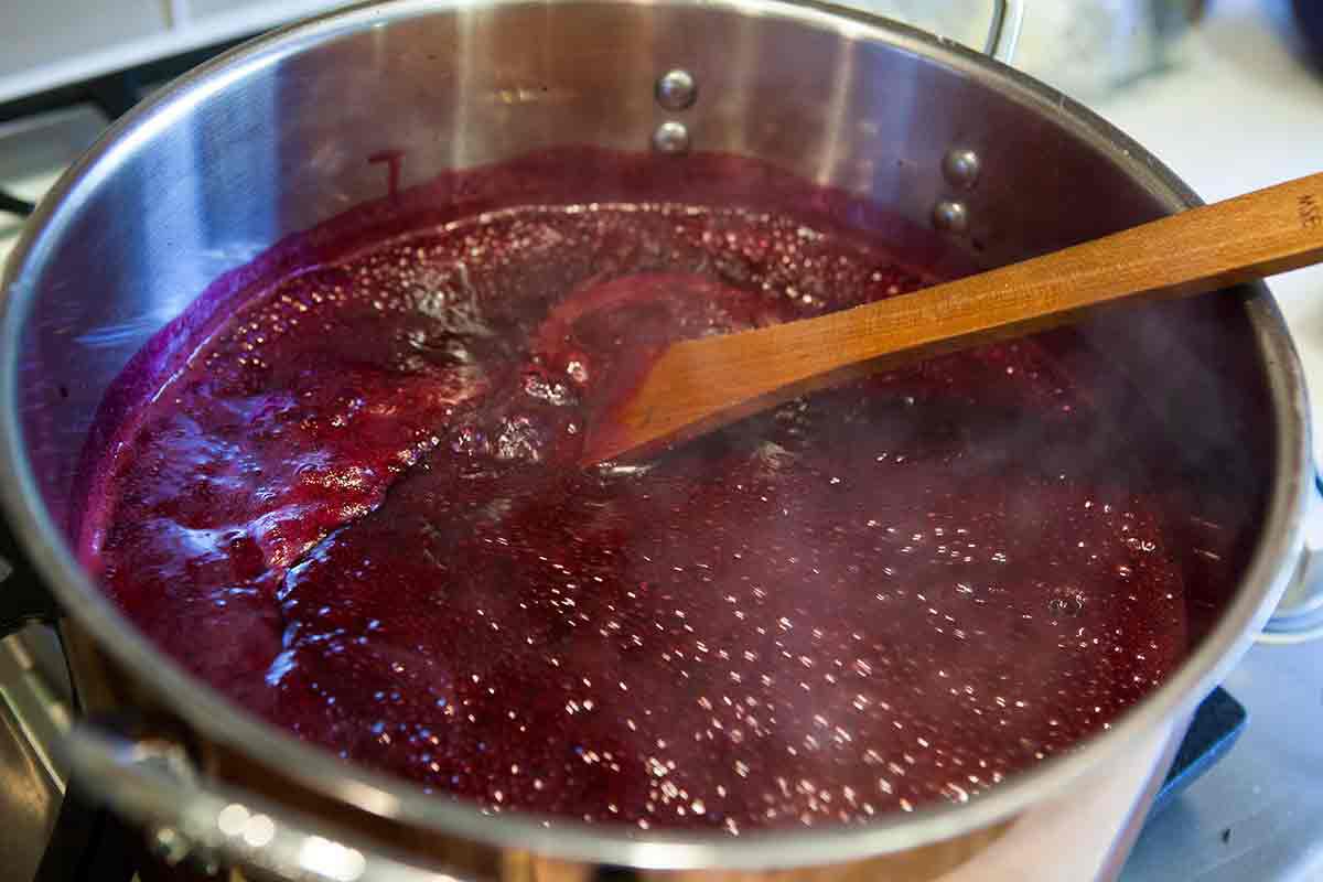 elderberry-jelly-method-6