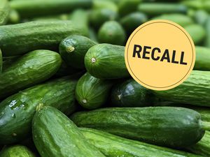 Pile of cucumbers with a recall label overlay