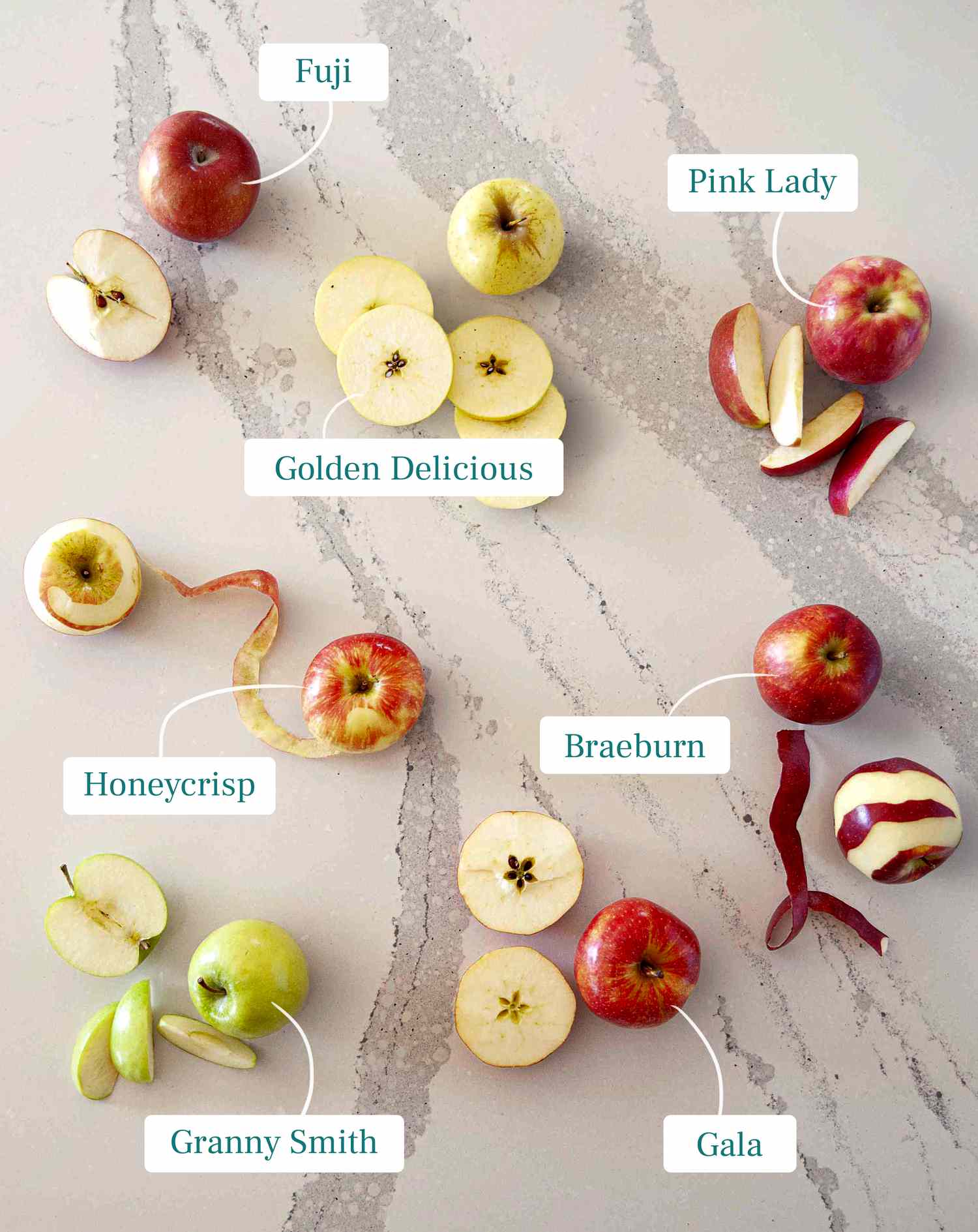 Guide to fall apples with Fuji, Pink Lady, Golden Delicious, Honeycrisp, Braeburn, Granny Smith and Gala apples pictured and labeled.