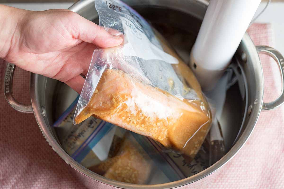 Sous Vide Teriyaki Salmon