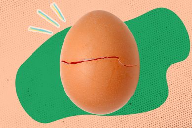 Egg with small crack