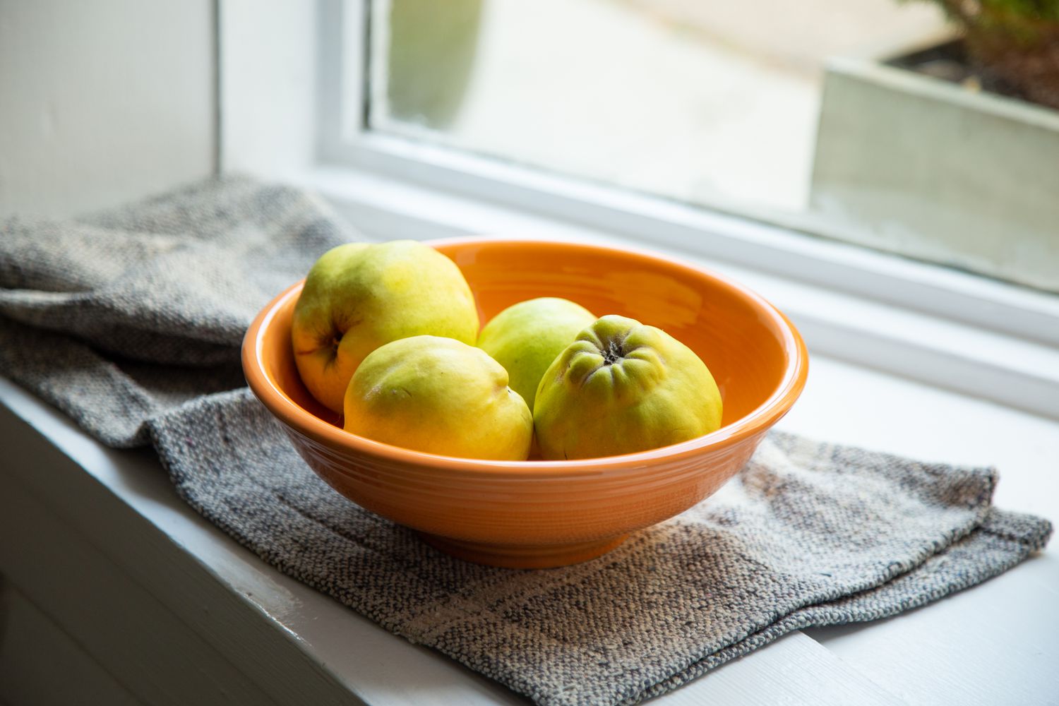 Bowl of quince in front of a window