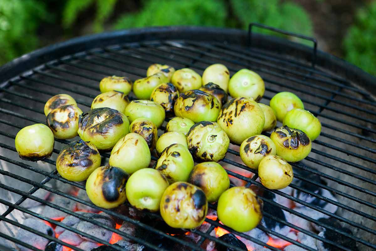 Grilled Tomatillos