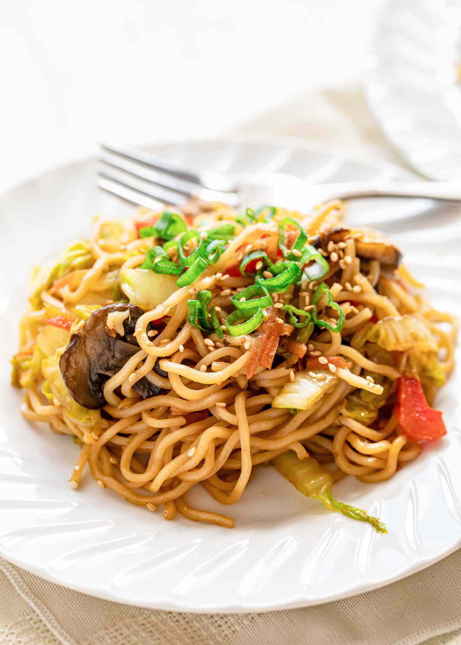 Plate of homemade vegetable lo mein.