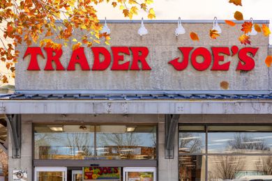 TJ Storefront with illustrations of a maple tree with orange, red, and yellow leaves