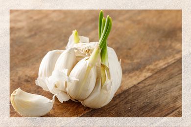 Sprouted garlic on a table
