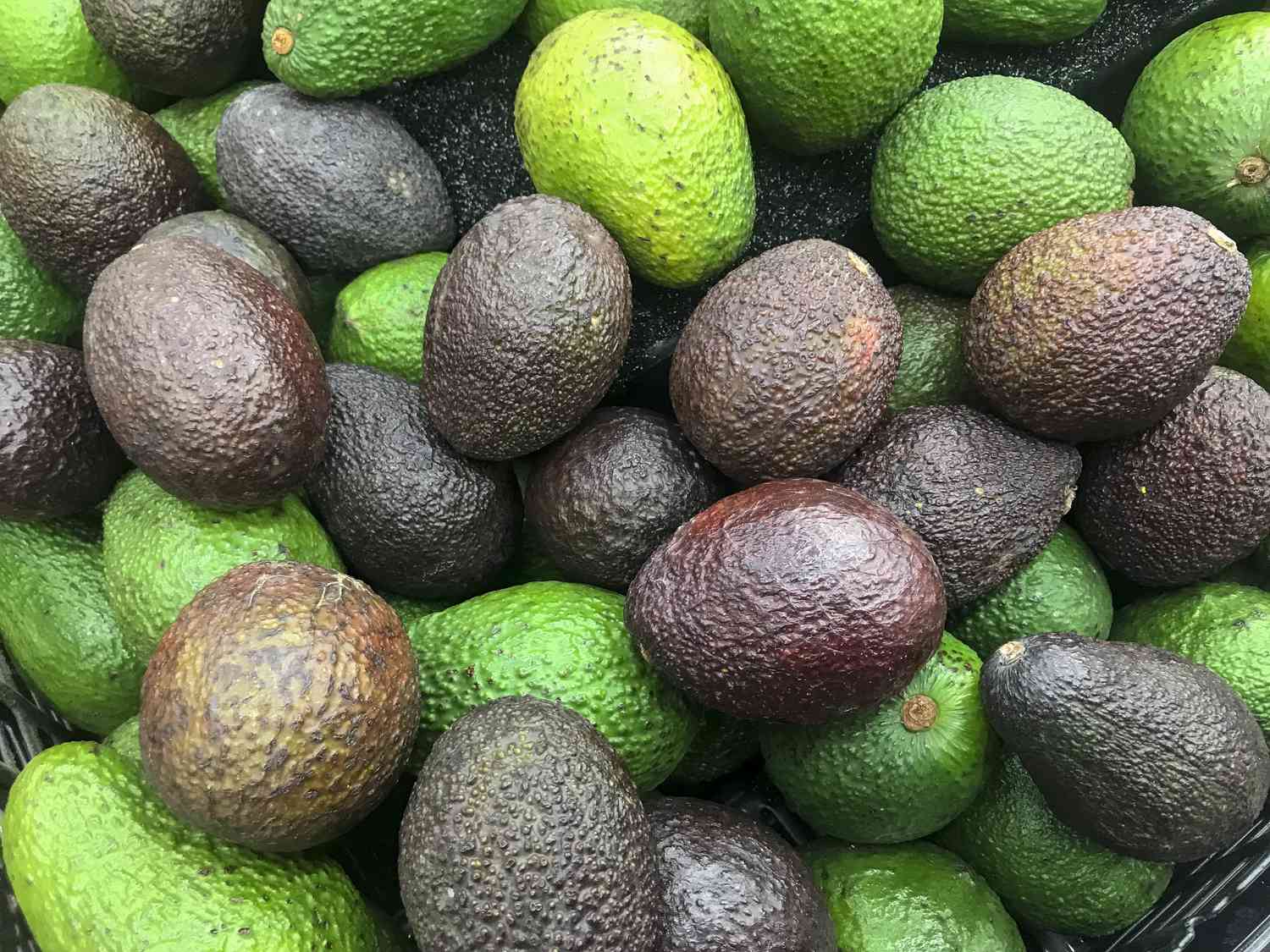 A bunch of avocados in varying hues of green