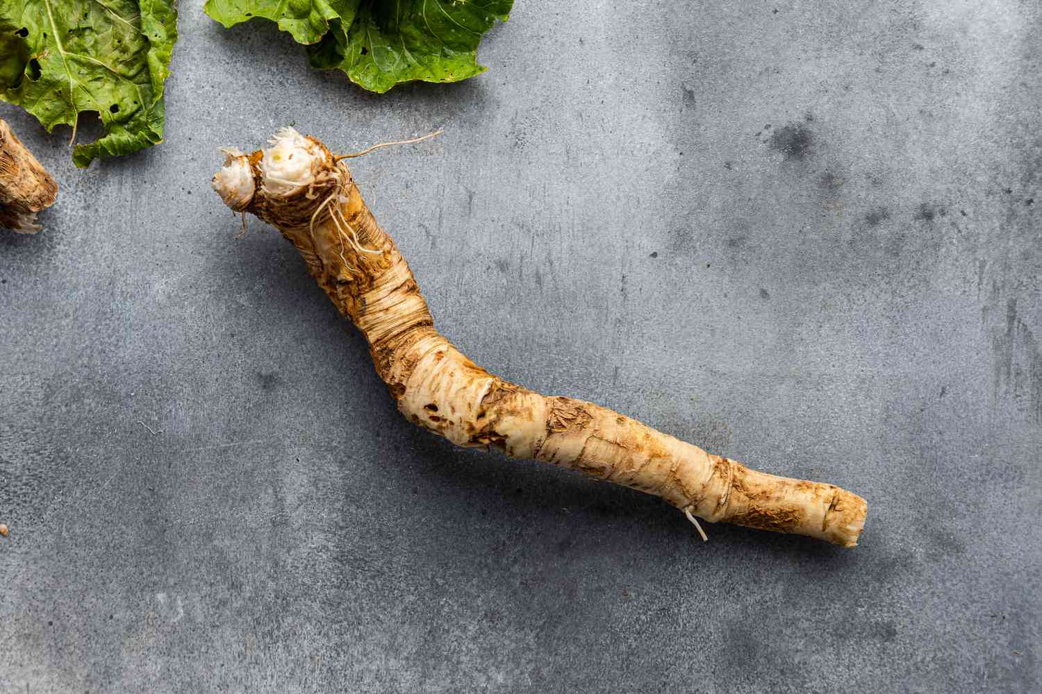 A fresh, clean horseradish root on a counter