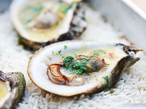 Grilled Oysters