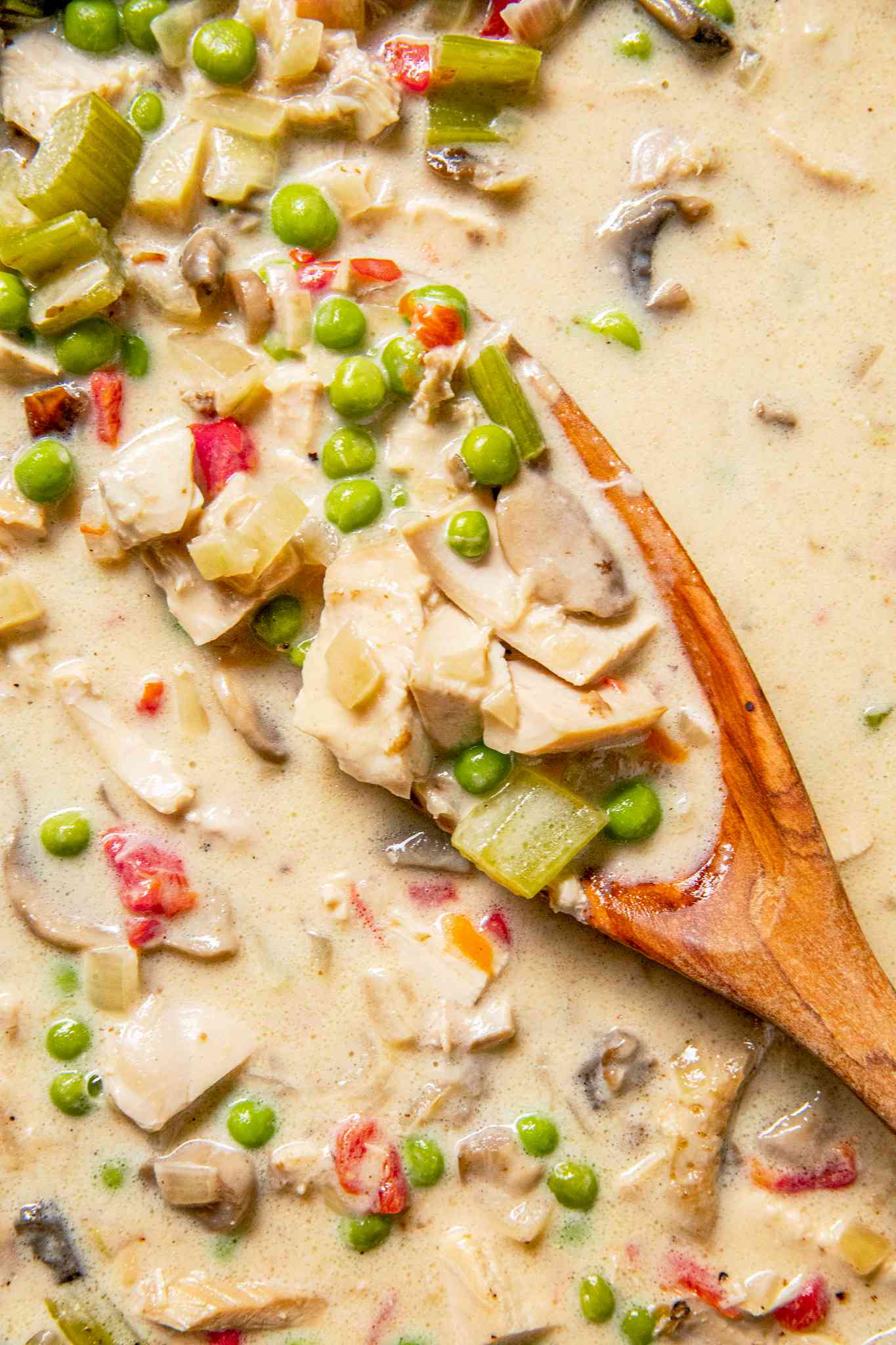 Close-up: chicken a la king with a wooden spoon