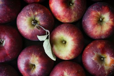 Overhead view of apples on a black background for the best apples for fall baking.