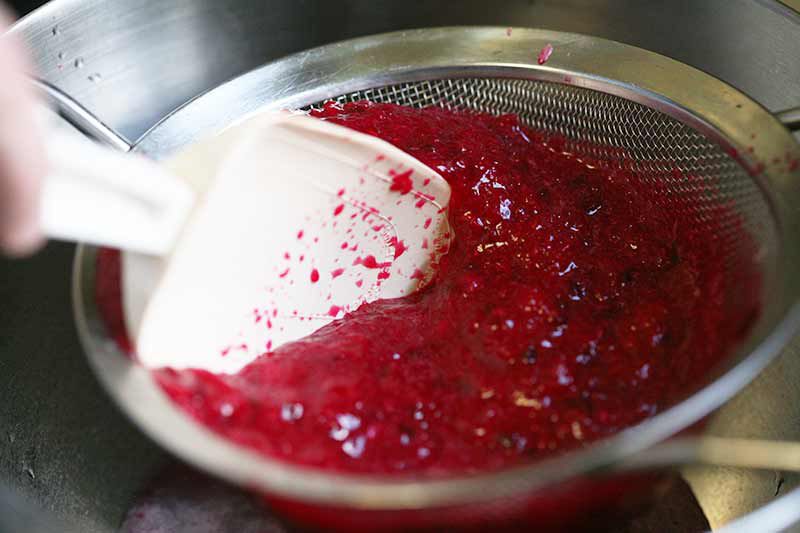 How to eat cactus pear - extracting the juice
