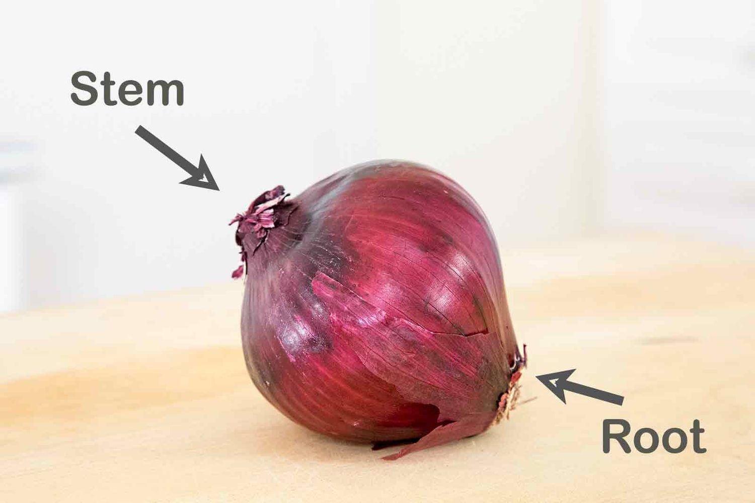Onion stem end and root end