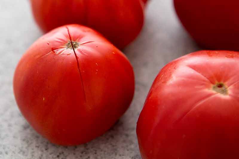 pasta-pomodoro-method-1