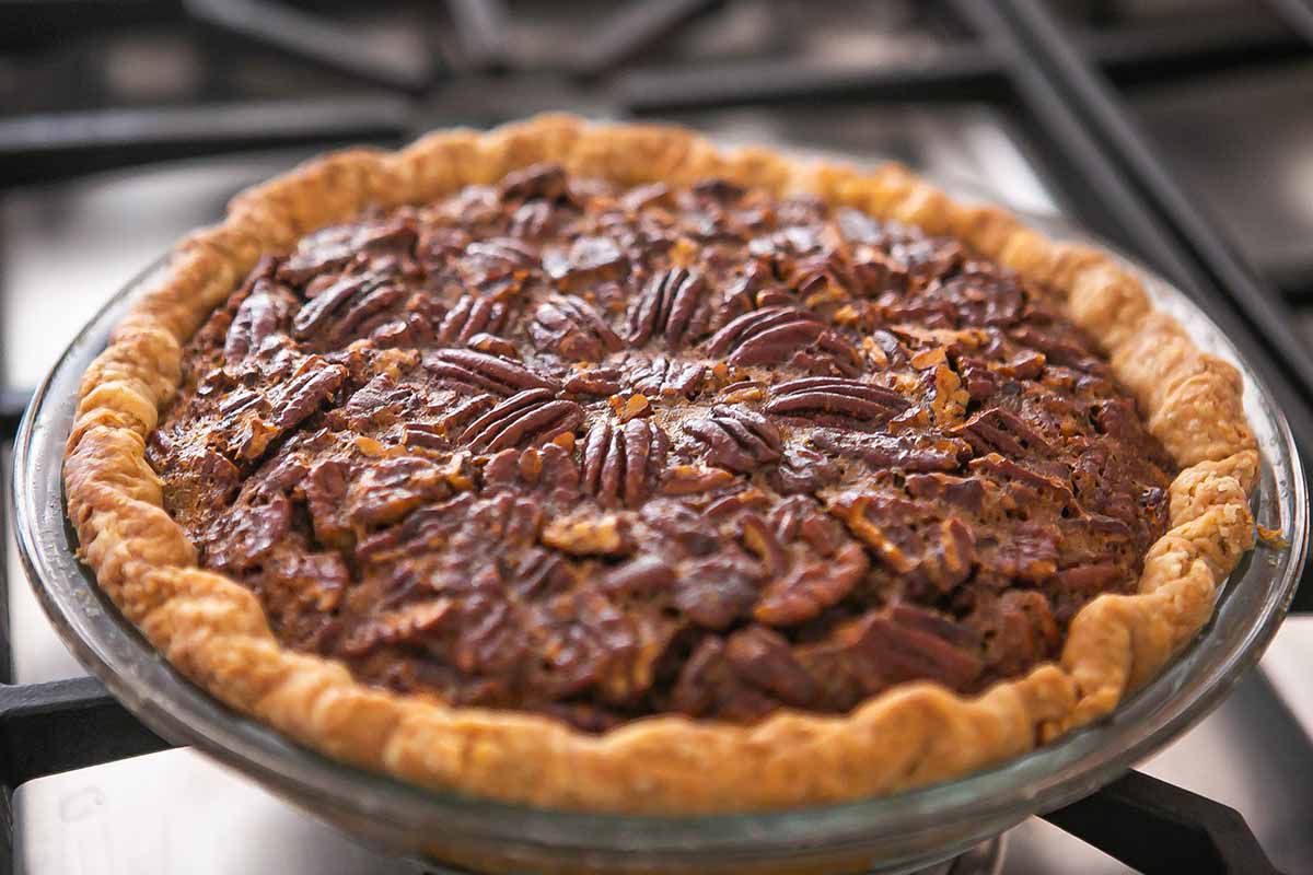 A pecan pie cooling after baking