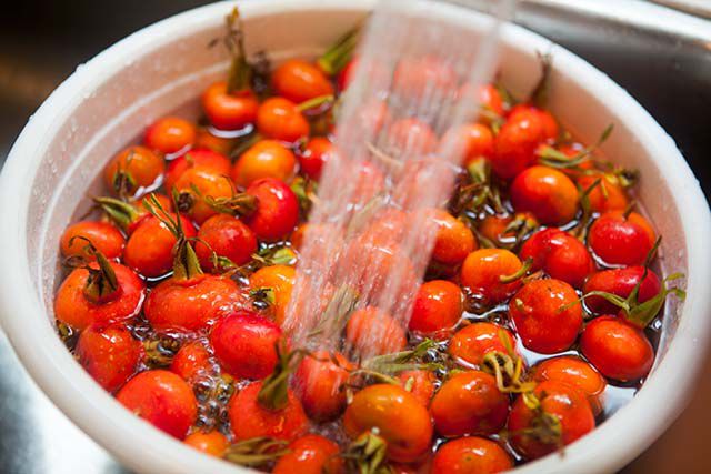 rose-hip-jelly-method-1