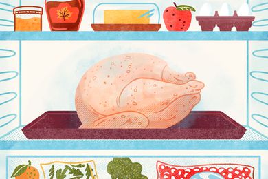 Turkey thawing in a fridge illustration