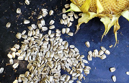A smattering of sunflower seeds