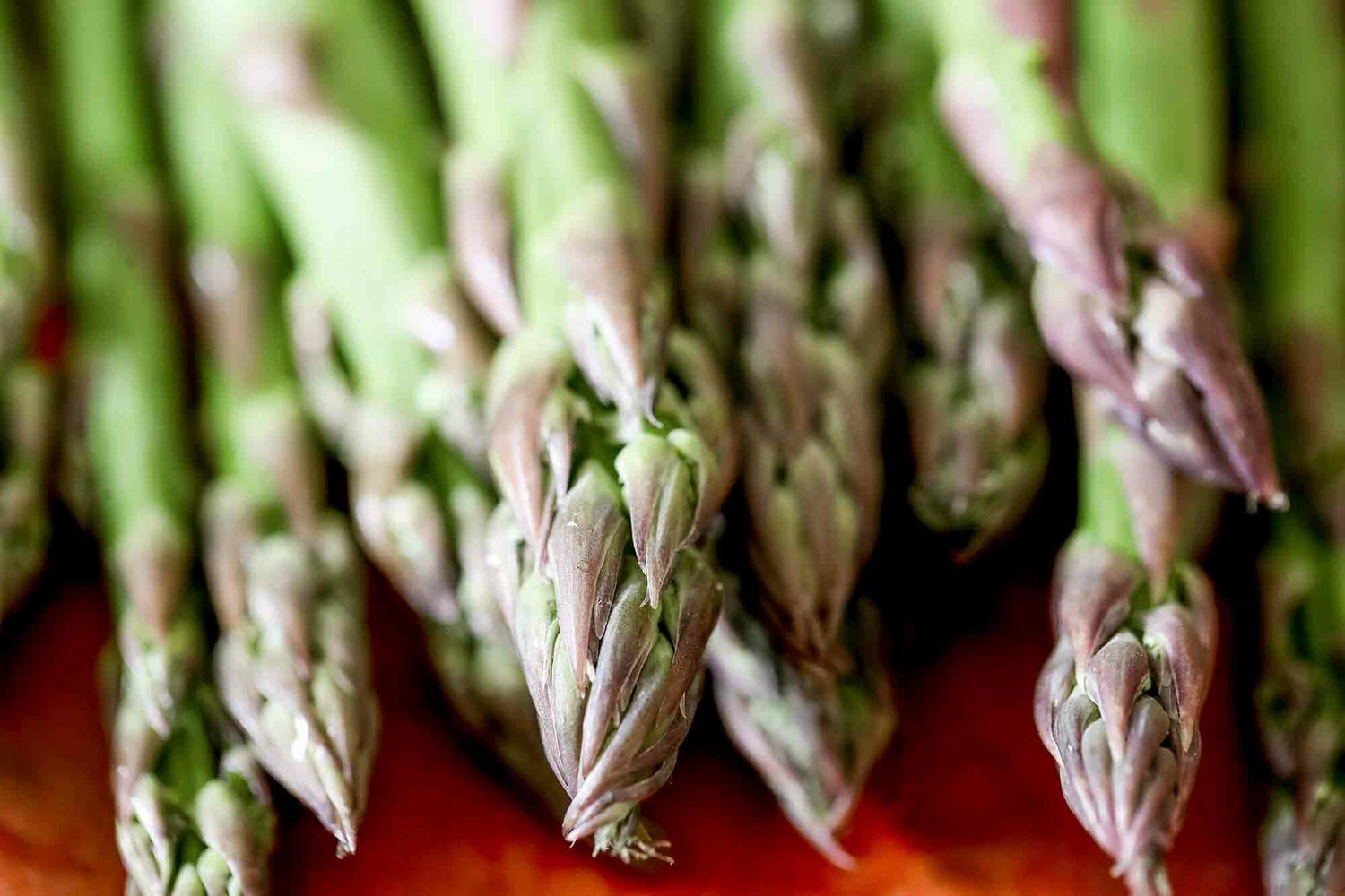 Easy Asparagus Sous Vide Recipe