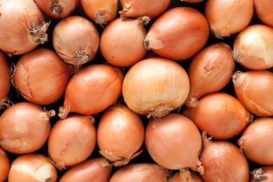 A top view of a layer of yellow onions