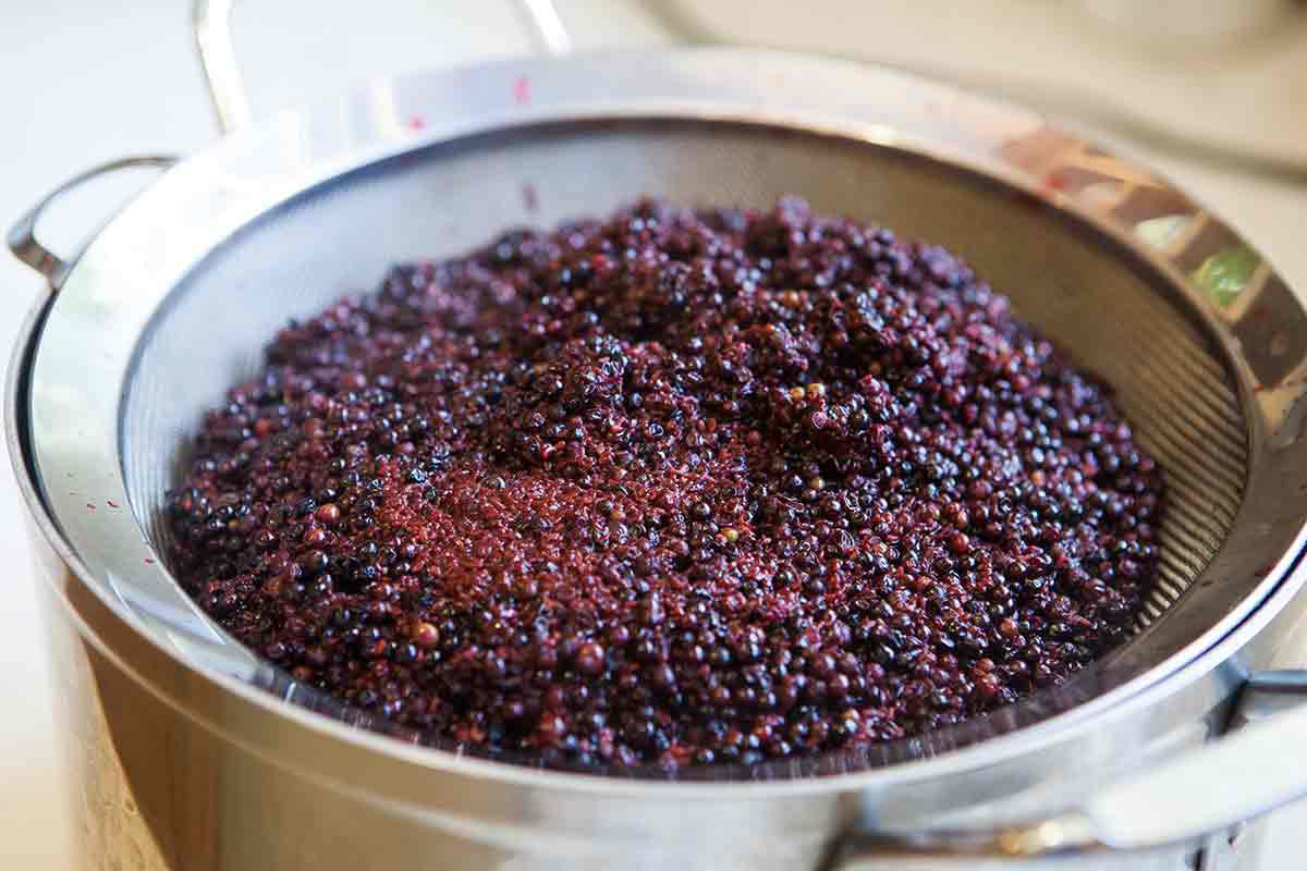 elderberry-jelly-method-5