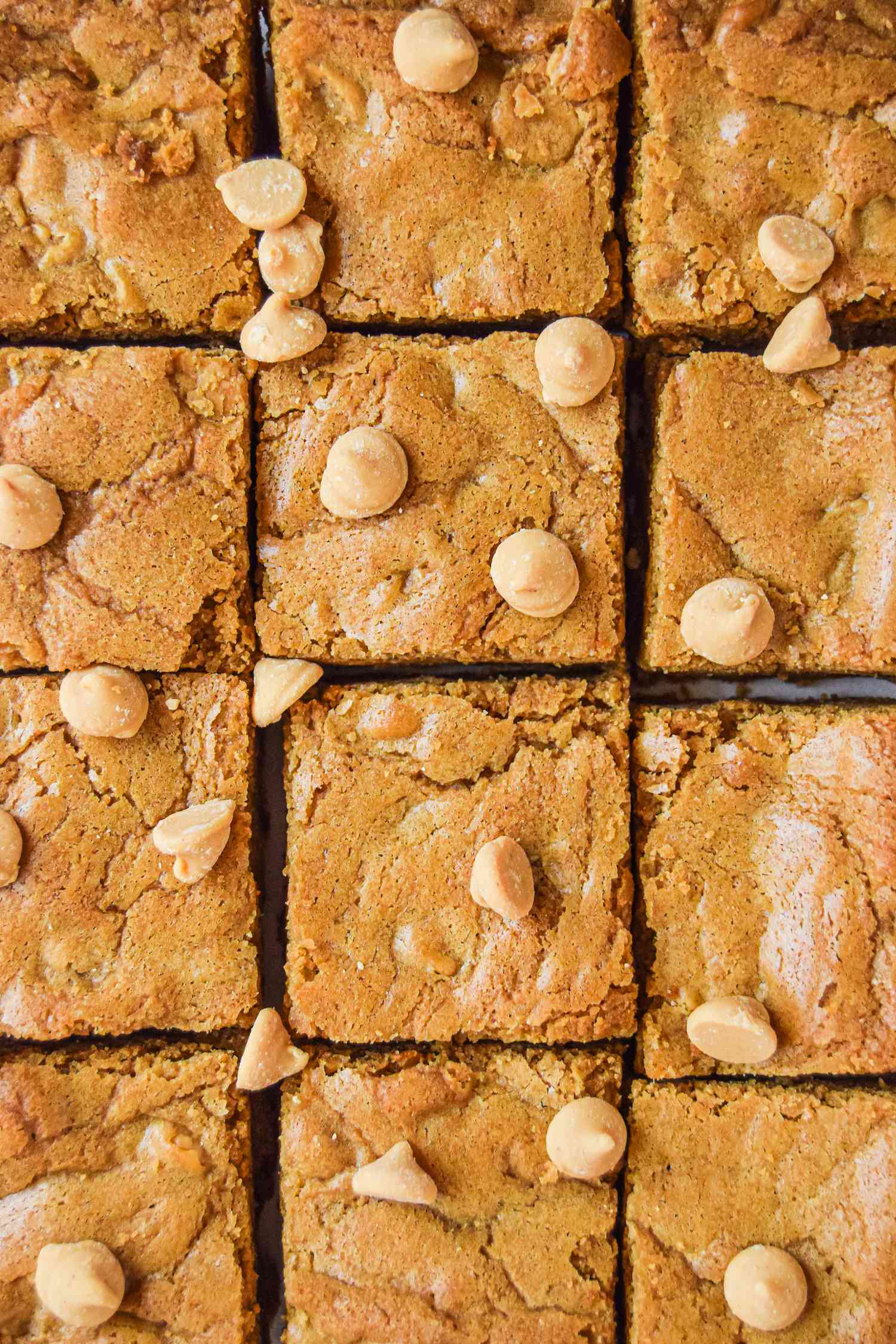 Blondies bars, neatly cut with butterscotch chips scattered on top