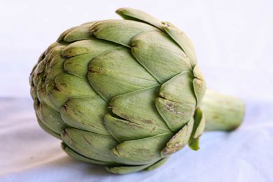 A large globe artichoke 