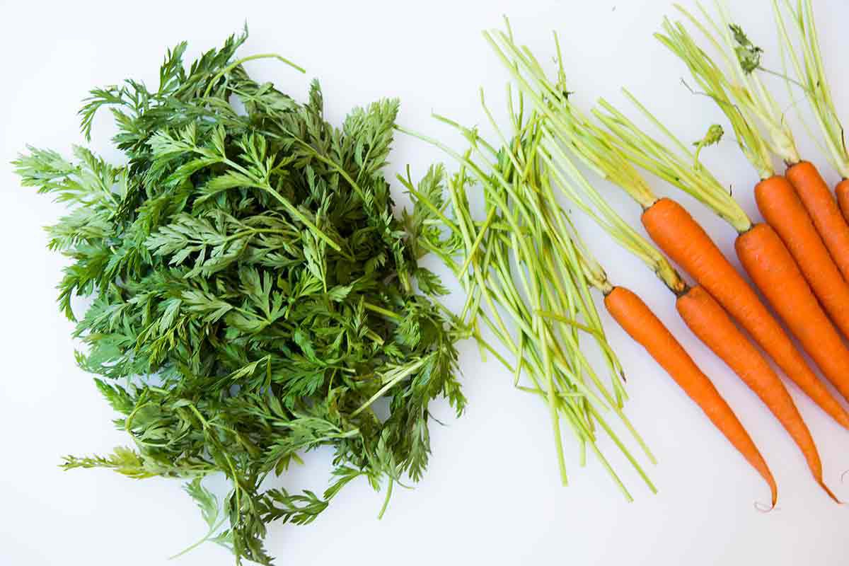 prep carrot tops for carrot top pesto