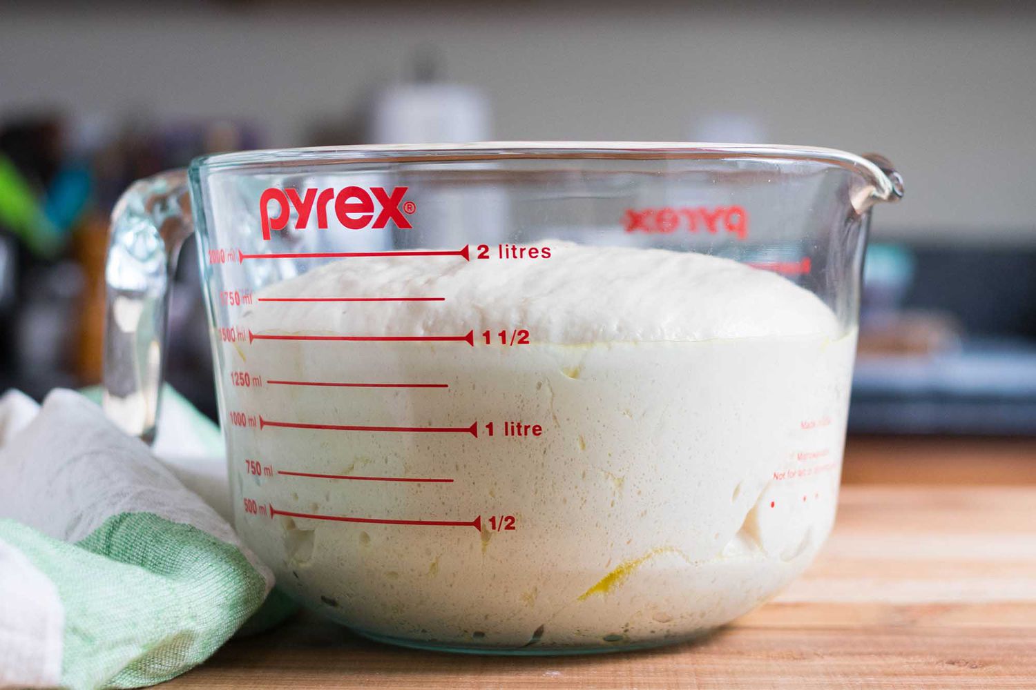 risen No-Knead Pizza Dough