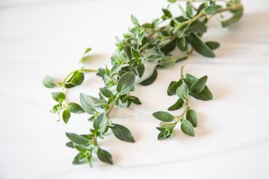 Oregano on the Counter