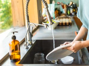 dish soap 