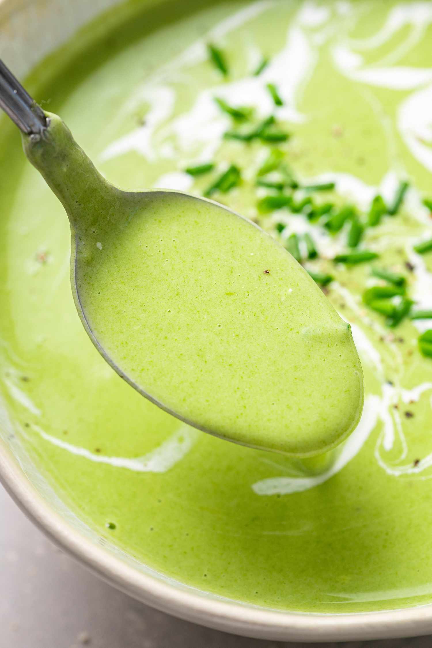 A spoonful of fresh Cream of Spinach Soup from a bowl