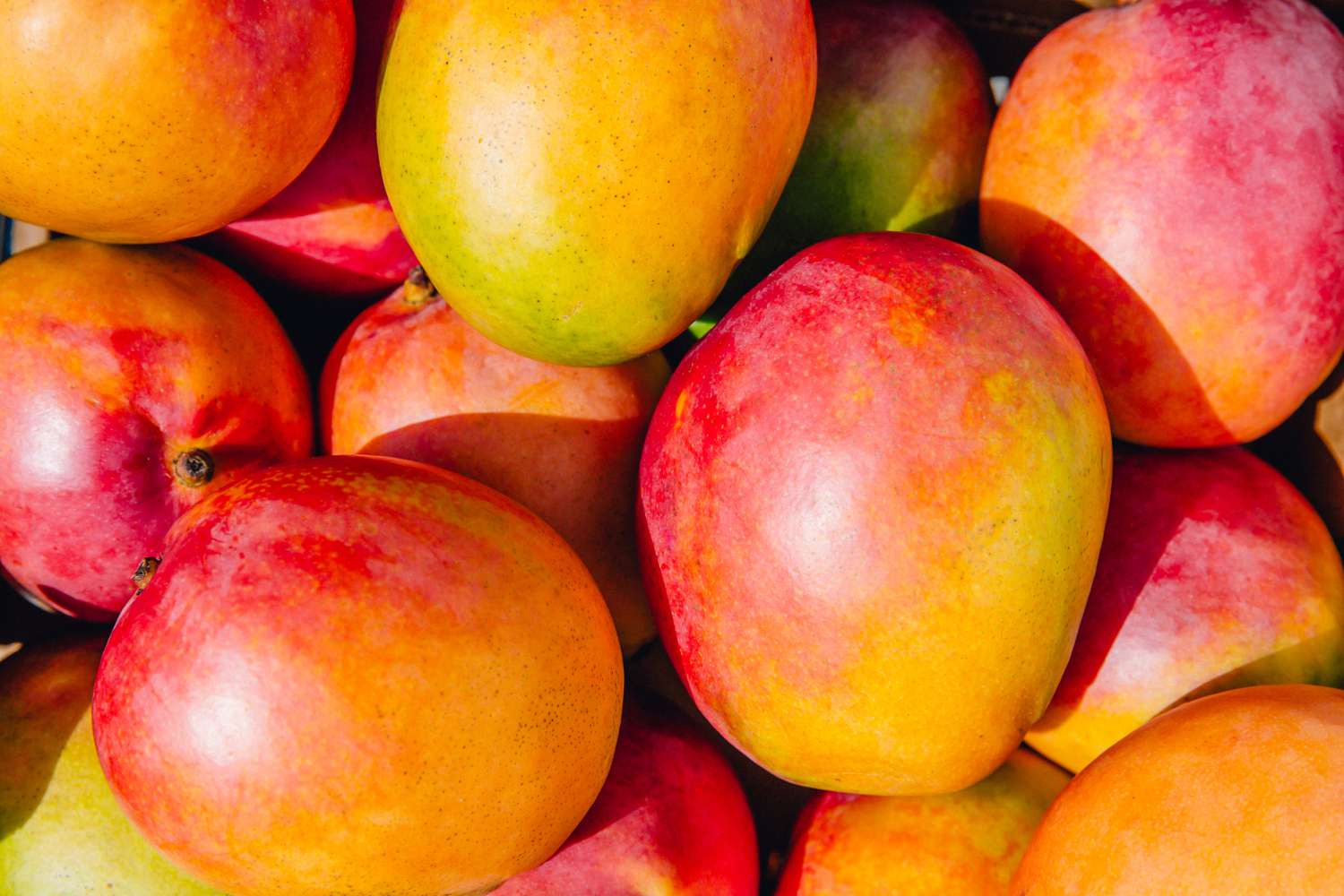 ripe mangoes in a pile
